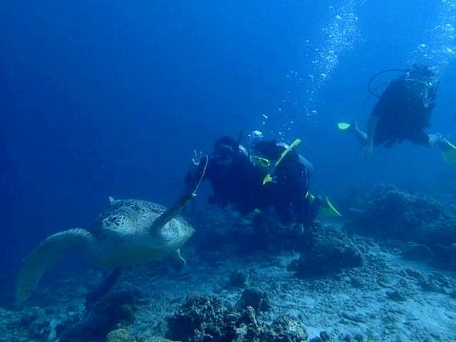 春运前三天海口三港累计进出岛航班同比增加17%